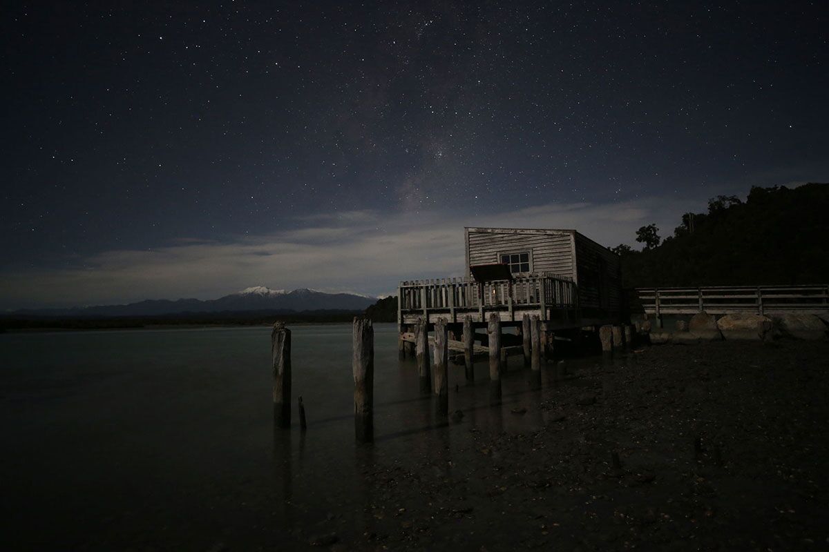 Verified Supplier Import Kiwi Fruit Fresh Green Kiwi For Global Retail |  Alibaba.com, image size:1200x800