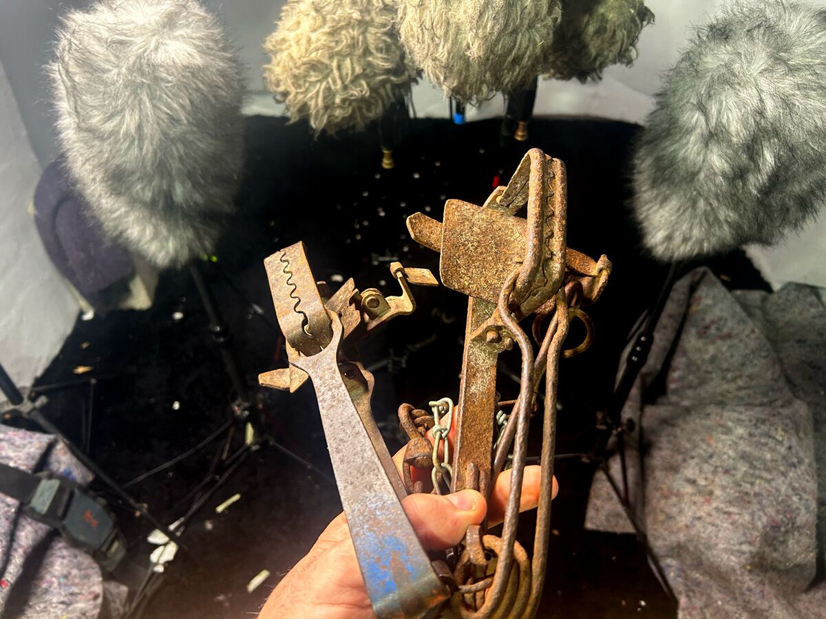 Rabbit_Trap_Hitsx1200.jpg