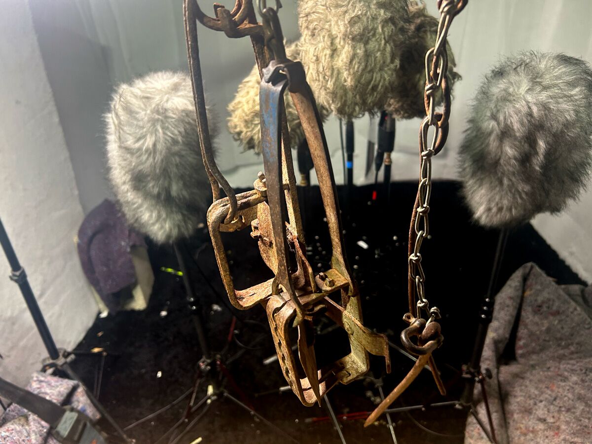 UFX041 RABBIT TRAP – HISSandaROAR